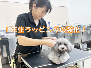 リボンの下地、ラッピングを強化！